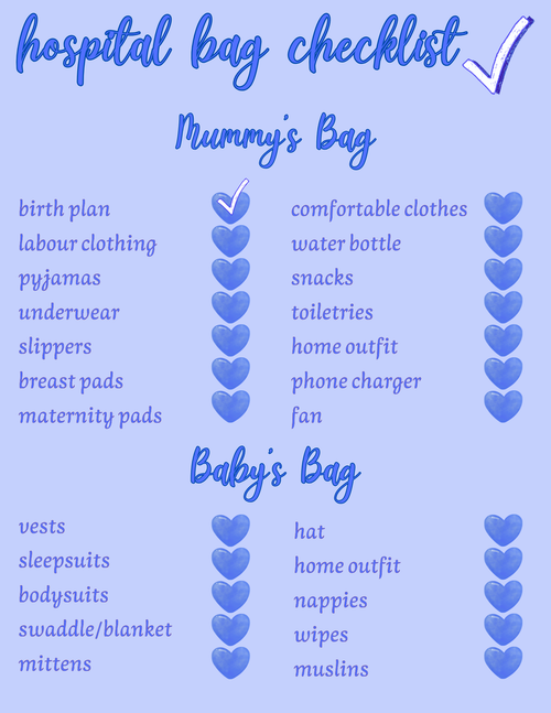 Digital Bump to Baby Journal (Blue)